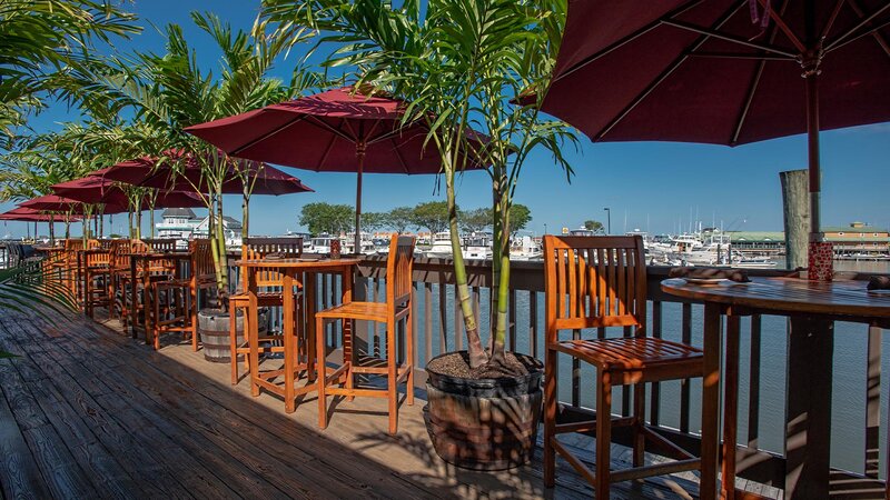 Hightop tables with palm trees looking over open water