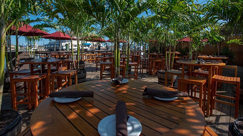 Outdoor patio dining area with palm trees